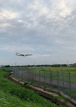 モモ、蜜柑、うに、トロ、ココ、ミル、みや