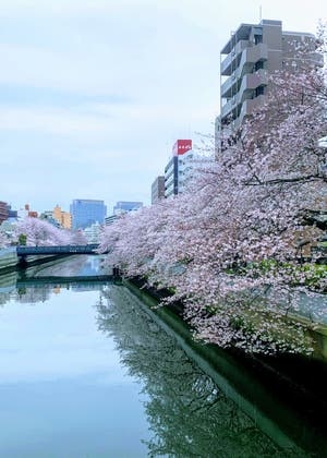 2015年、四季　あの頃は、ここが世界の中心だと思っていた。