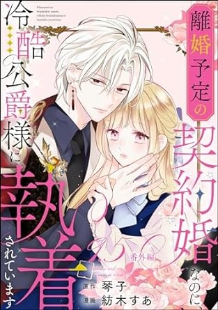 離婚予定の契約婚なのに、冷酷公爵様に執着されています（分冊版） 【第9.5話】 番外編 (PRIMO)