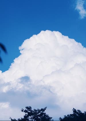 夏風邪朦朧