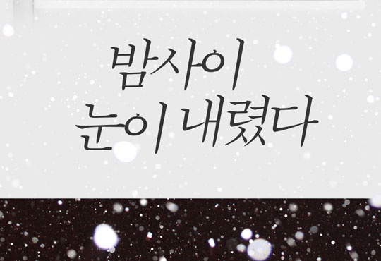 밤사이 눈이 내렸다
