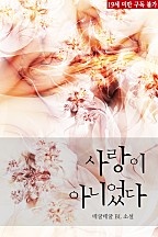 사랑이 아니었다 [단행본]