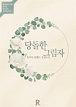 당돌한 그림자 [단행본]