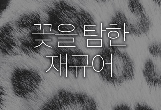 꽃을 탐한 재규어