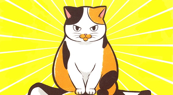 [펫코믹] 고양이 선배, 대단하심돠!
