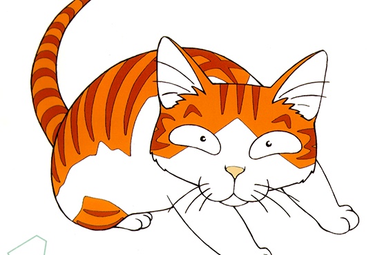 CAT (캣)