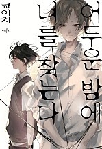 어두운 밤에 너를 찾는다 [인디고]