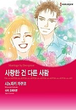 사랑한 건 다른 사람 [할리퀸]