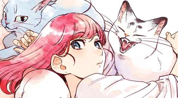 고양이 한 뭉치