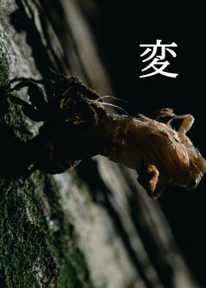 変。　―まだ飛べないぼくら―