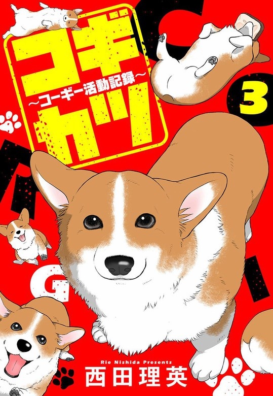 コギカツ～コーギー活動記録～