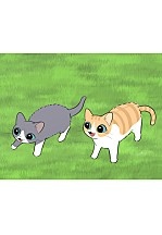 안녕, 나의 길고양이