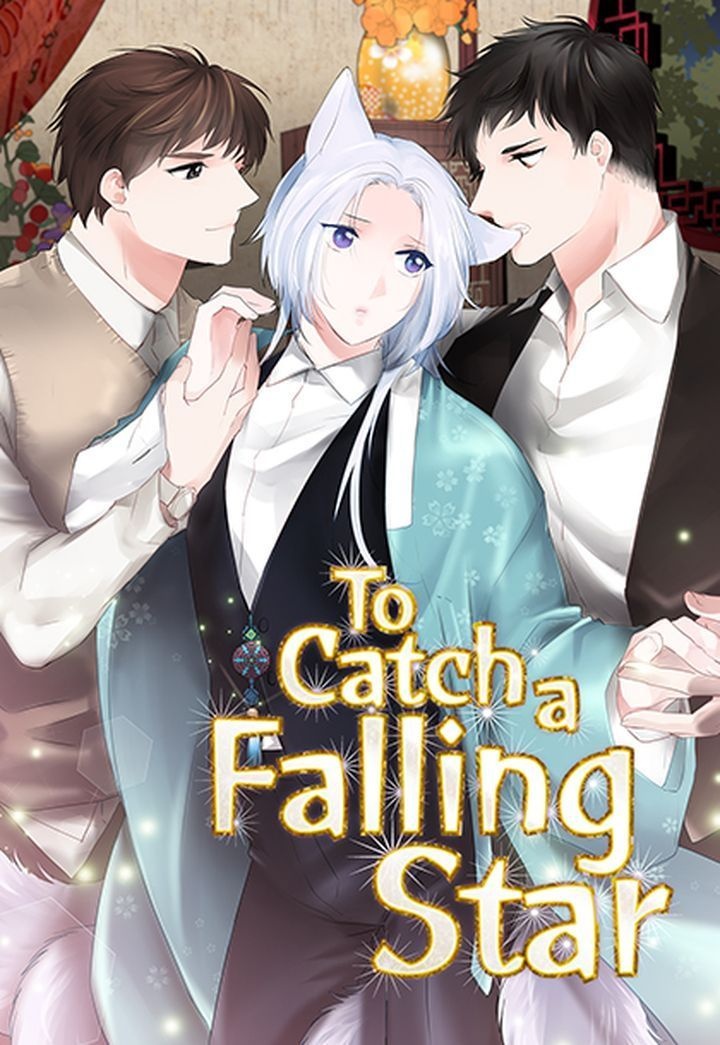 To Catch a Falling Star