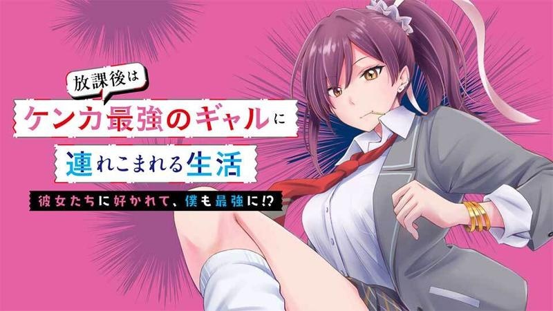 放課後はケンカ最強のギャルに連れこまれる生活 彼女たちに好かれて、僕も最強に!?