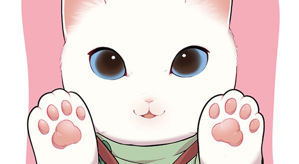 고양이 마사지사