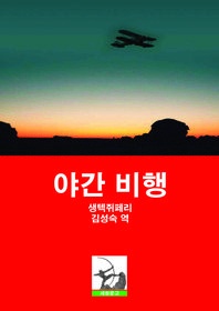 야간 비행