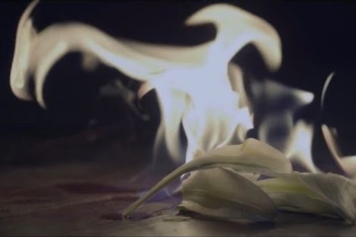 花様年華
