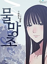 물망초