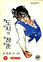 도시의청춘 [단행본]