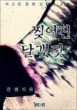 찢어진 날개짓