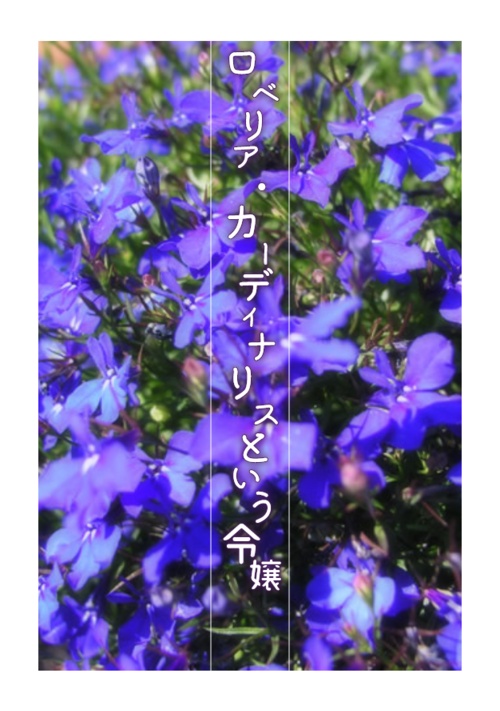 ロベリア・カーディナリスという令嬢