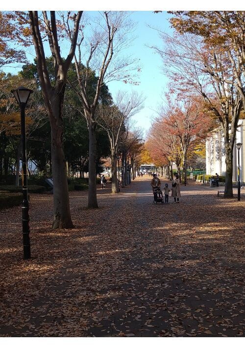 東山と西野