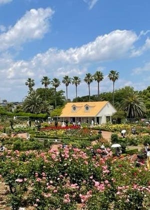 ディズニーランドだけが遊園地じゃない！