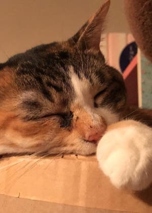 心の落とし物