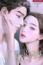 잘하는 오빠 [개정판][단행본]