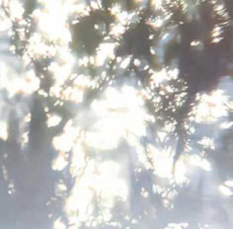 グループ