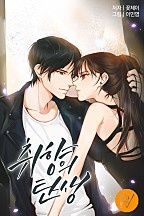 취향의 탄생