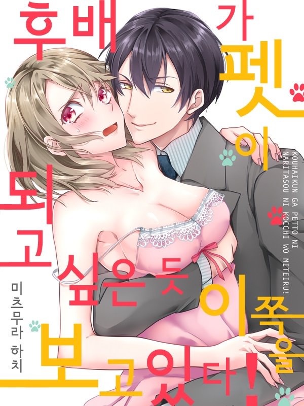 후배가 펫이 되고 싶은 듯 이쪽을 보고 있다! 표지