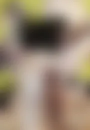 嵐の檻