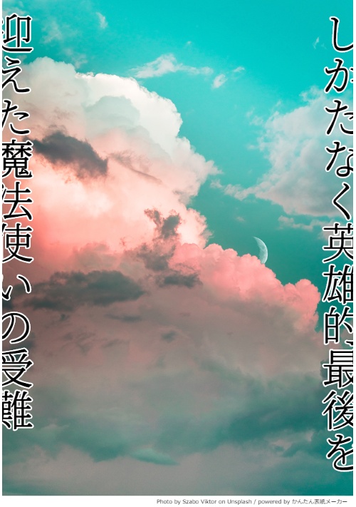 しかたなく英雄的最後を迎えた魔法使いの受難