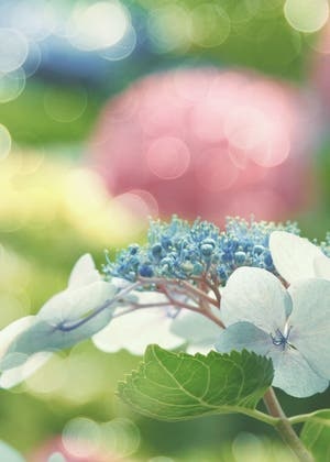 雨上がりの帰宅