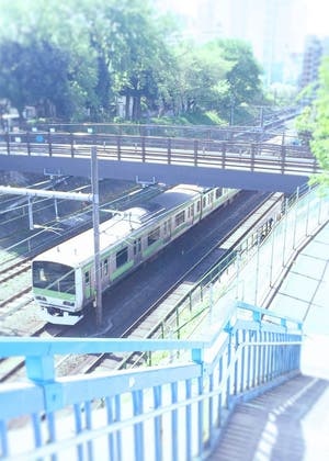 俺の許嫁を紹介します