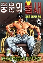 풍운의불새 [단행본]