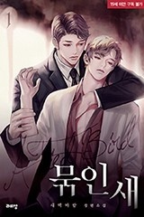 [BL] 묶인 새