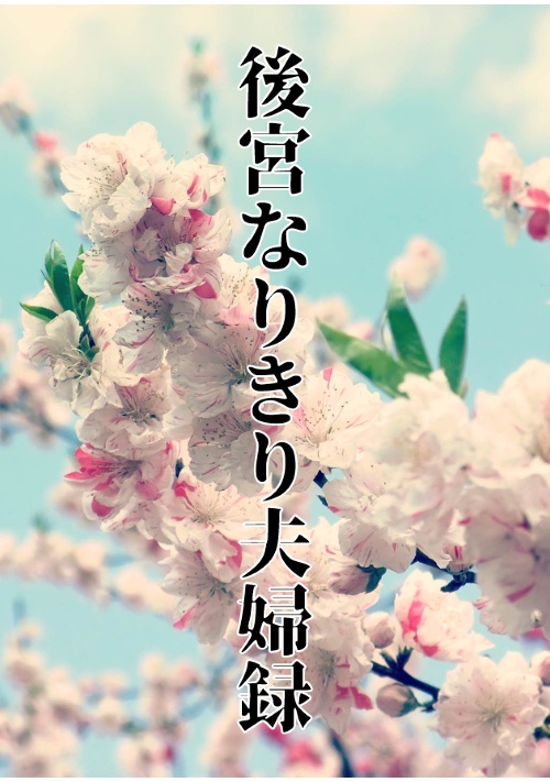 後宮なりきり夫婦録