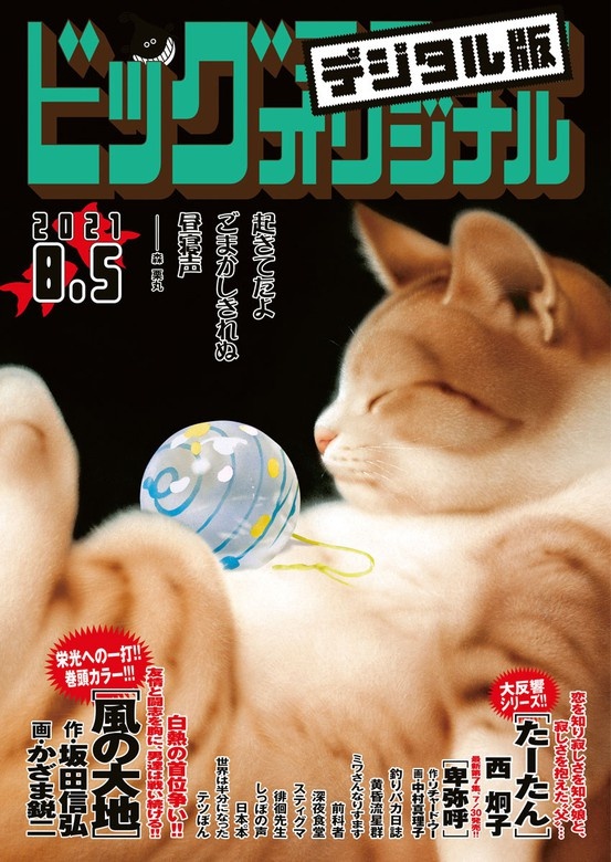 ビッグコミックオリジナル 2021年15号（2021年7月20日発売)