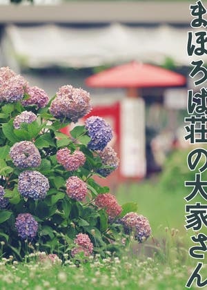 まほろば荘の大家さん