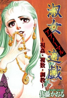 淑女アブノーマル遊戯〜視姦・複数・調教〜