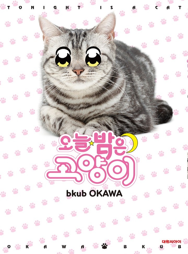 오늘 밤은 고양이