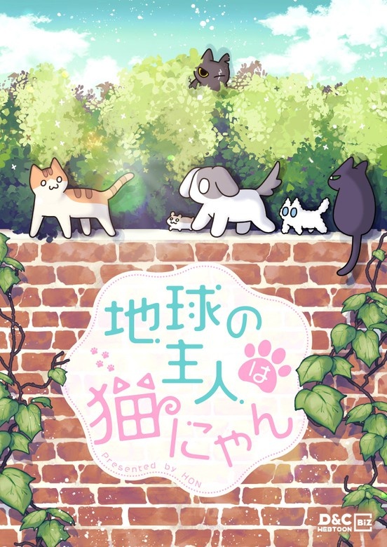 地球の主人は猫にゃん