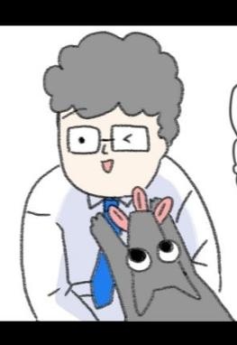 犬と南国暮らし