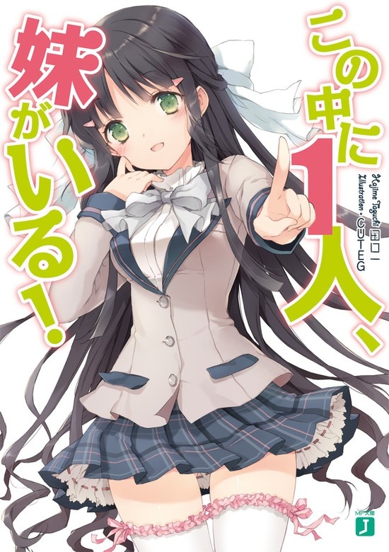 この中に1人、妹がいる！（ノベル）