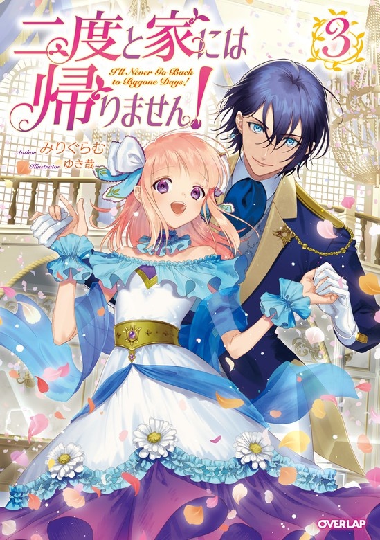 二度と家には帰りません！（ノベル）