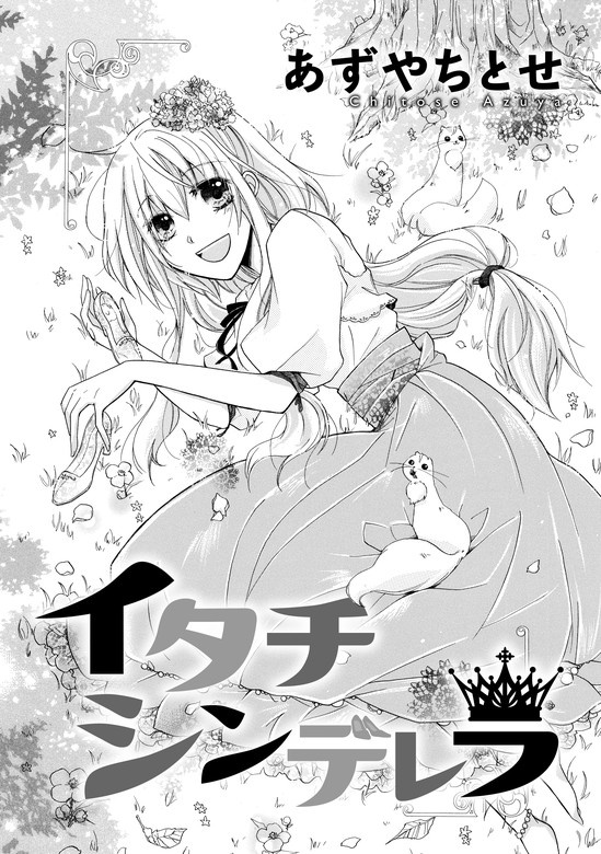 イタチシンデレラ