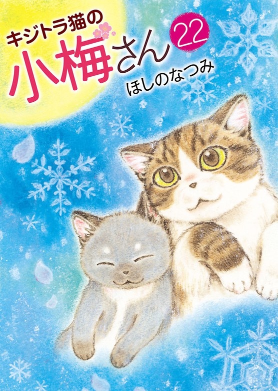 キジトラ猫の小梅さん