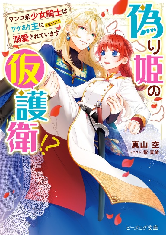 偽り姫の仮護衛!?